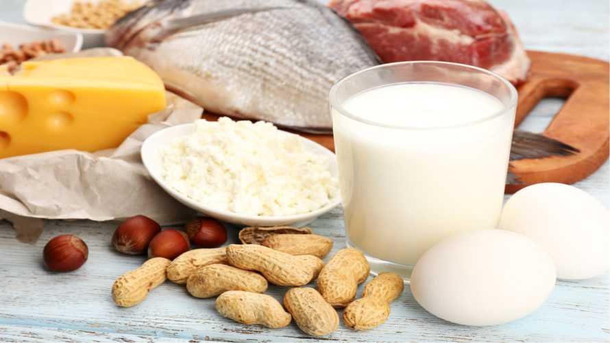 Proteínas Para Emagrecer Conheça Todos Os Benefícios Deste Nutriente 4319